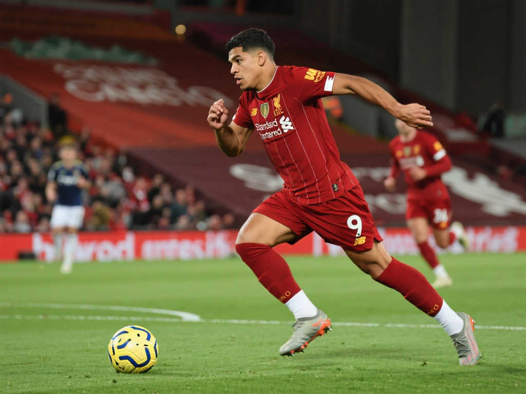 乐部的声誉 乐部的声誉